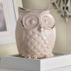 Accent Plus Crackle-Finish Ceramic Owl